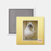 Vorwärtsfahrt mit voller Geschwindigkeit Magnet (Vorderseite/Rückseite)