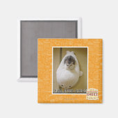 Vorwärtsfahrt mit voller Geschwindigkeit Magnet (Vorderseite/Rückseite)