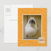 Vorwärtsfahrt mit voller Geschwindigkeit Postkarte (Vorne/Hinten)