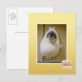 Vorwärtsfahrt mit voller Geschwindigkeit Postkarte (Vorne/Hinten)