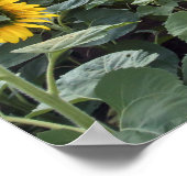 Vorwegnahme Poster (Ecke)