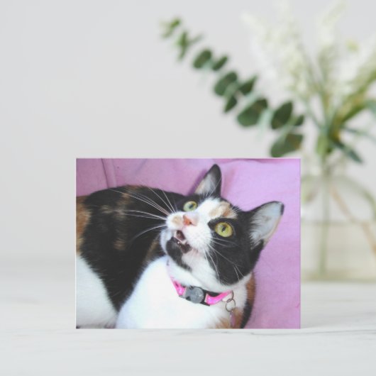 Vorwegnahme Postkarte (Stehend Vorderseite)