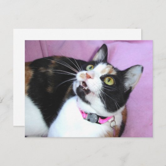 Vorwegnahme Postkarte (Vorne/Hinten)