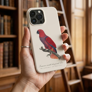 Vosmaer-Edelpapagei, Eclectus roratus vosmaeri Case-Mate iPhone Hülle