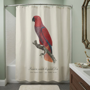 Vosmaer-Edelpapagei, Eclectus roratus vosmaeri Duschvorhang