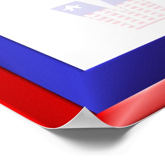 Vote Democratic Yard Sign Poster (Ecke)