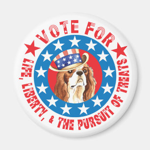 Vote for Cavalier Magnet