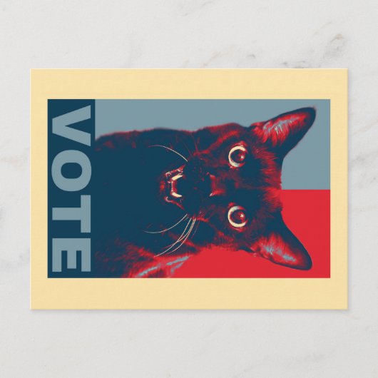 VOTE Postkarte mit vielen Halloween-Katzen (Vorderseite)