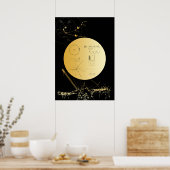 Voyager 1 Golden Record - Poster (Küche)