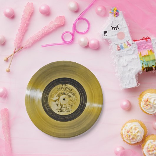 Voyager Spacecraft Golden Record Pappteller (Party)