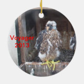 Voyager-Verzierung 2013 Keramik Ornament (Hinten)