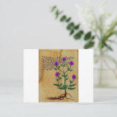 Voynich Herboristeria Vintag RetroCharms Postkarte (Stehend Vorderseite)