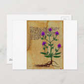 Voynich Herboristeria Vintag RetroCharms Postkarte (Vorne/Hinten)