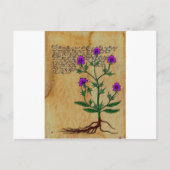 Voynich Herboristeria Vintag RetroCharms Postkarte (Vorderseite)