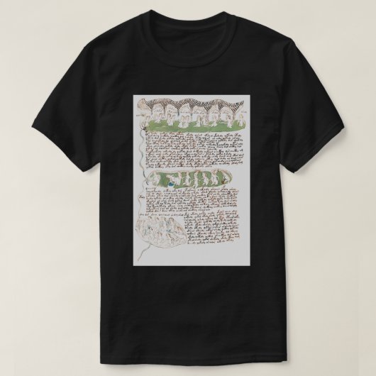 Voynich Manuskript Badefrauen Illustrationen T-Shirt (Design vorne)