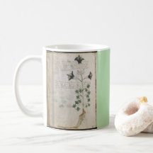 Voynich-Manuskriptseiten Botanischer alter Codex