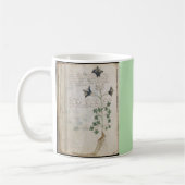 Voynich-Manuskriptseiten Botanischer alter Codex Kaffeetasse (Links)