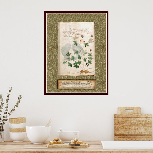 Voynich Plate 10 Poster (Küche)