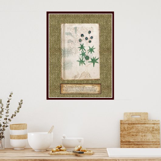 Voynich Plate 12 Poster (Küche)