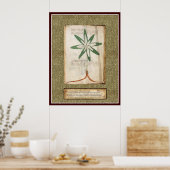 Voynich Plate 13 Poster (Küche)