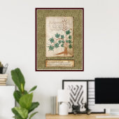Voynich Plate 17 Poster (Heimbüro)