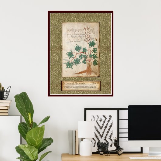 Voynich Plate 17 Poster (Heimbüro)
