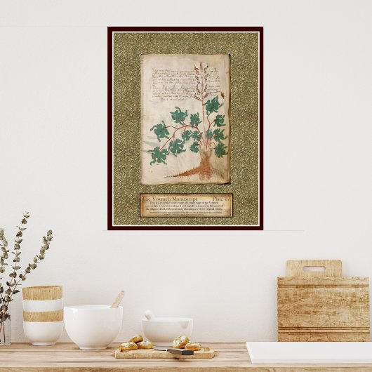 Voynich Plate 17 Poster (Küche)