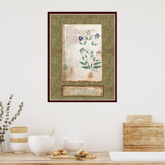 Voynich Plate 18 Poster (Küche)