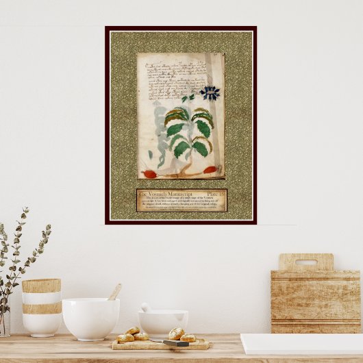 Voynich Plate 19 Poster (Küche)