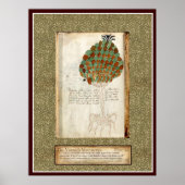Voynich Plate 22 Poster (Vorne)