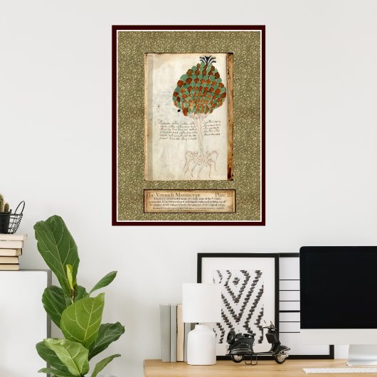 Voynich Plate 22 Poster (Heimbüro)