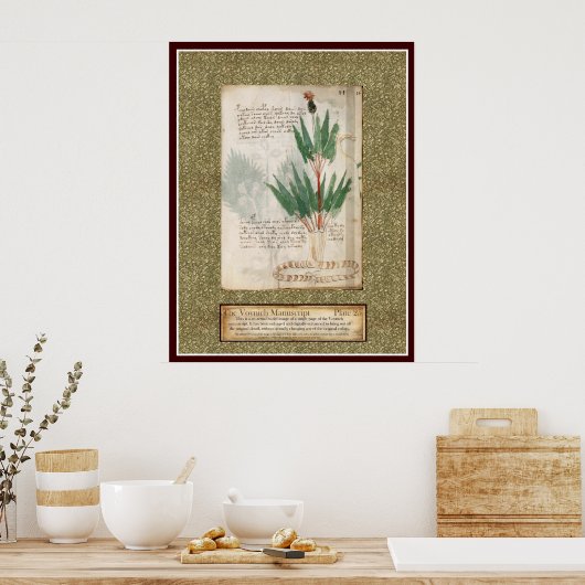 Voynich Plate 25 Poster (Küche)