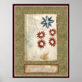 Voynich Plate 30 Poster (Vorne)