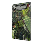 Vriesea Splendens Bromeliad Pflanze Striped Mini Klemmbrett (Gewinkelt2)