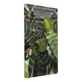 Vriesea Splendens Bromeliad Pflanze Striped Mini Klemmbrett (Schrägansicht)