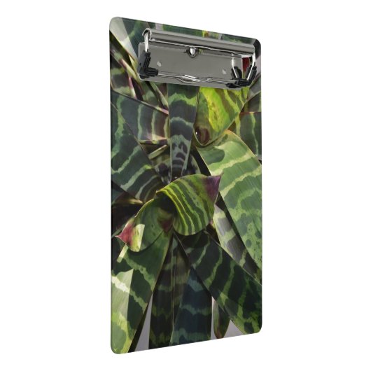 Vriesea Splendens Bromeliad Pflanze Striped Mini Klemmbrett (Schrägansicht)