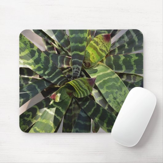 Vriesea Splendens Bromeliad Pflanze Striped Mousepad (Mit Mouse)