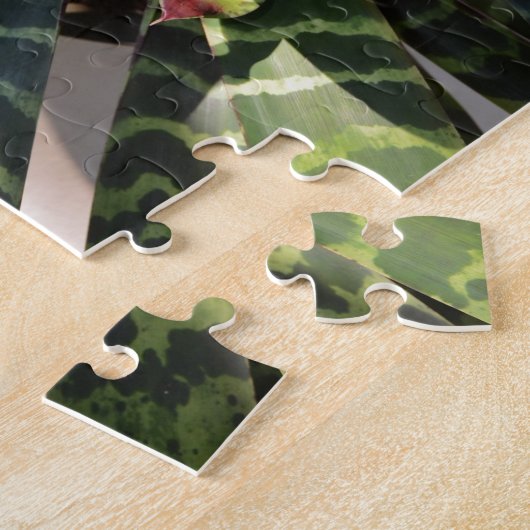 Vriesea Splendens Bromeliad Pflanze Striped Puzzle (Seite)