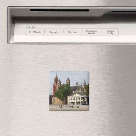 Vrijthof, Maastricht Magnet (In Situ (Geschirrspüler))