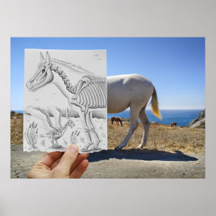 VS-Kamera für Stifte - X-Ray Poster