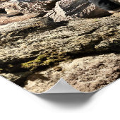 VS-Kamera - Hai Poster (Ecke)