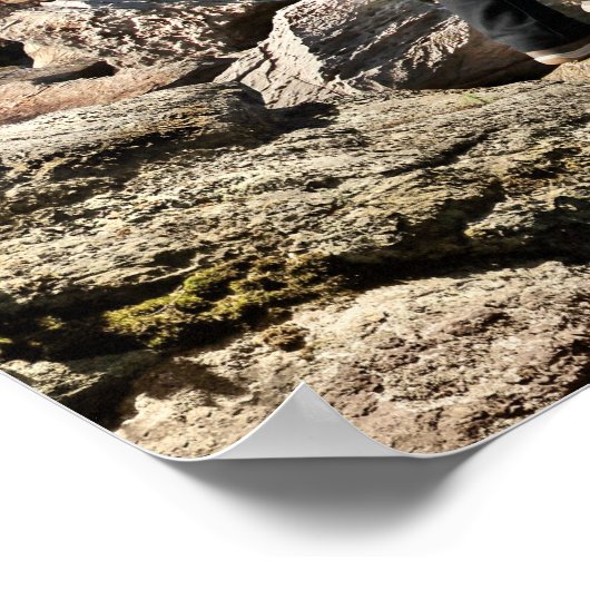 VS-Kamera - Hai Poster (Ecke)