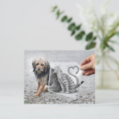 VS-Kamera - Hund und Katze Postkarte (Stehend Vorderseite)