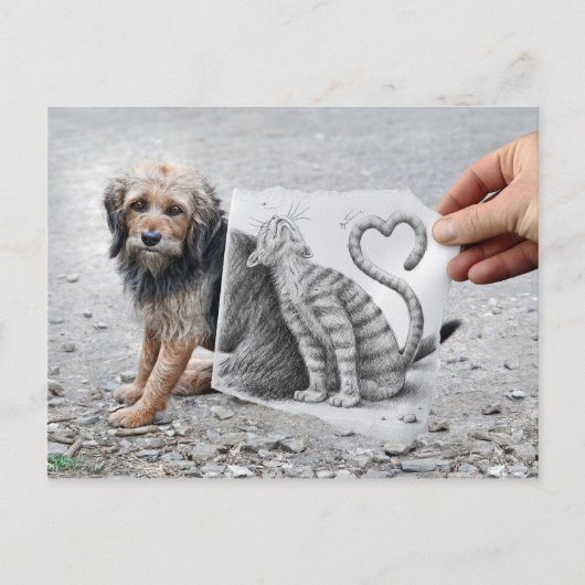 VS-Kamera - Hund und Katze Postkarte (Vorderseite)
