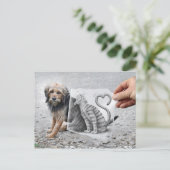 VS-Kamera - Hund und Katze Postkarte (Stehend Vorderseite)