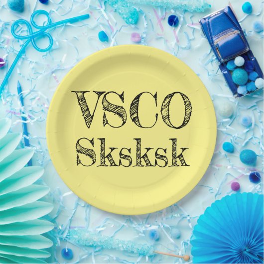 VSCO sksksk Pappteller (Party)