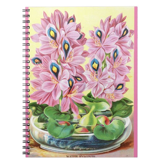 VTG Botanical Water Hyacinth Spiral Notebook Notizblock (Vorderseite)