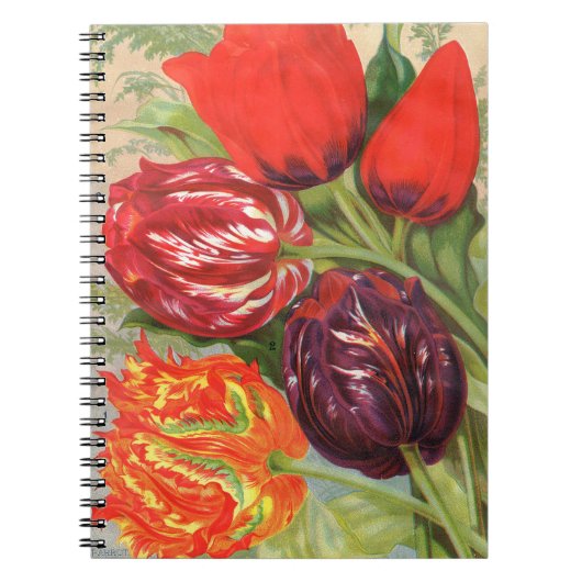 VTG Botanisches Tulip-Notebook Notizblock (Vorderseite)