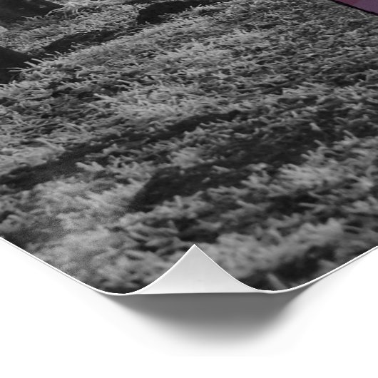 VTuber, anime winter Forrest, bos Poster (Ecke)