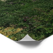 Vulkan Backyard Poster (Ecke)